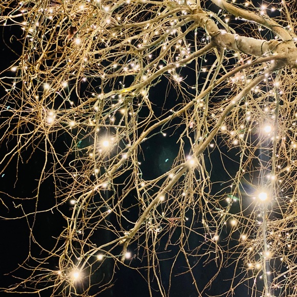 Meet your Posher, Anna - Picture 1 of 1